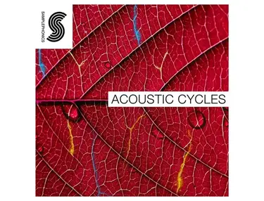 Samplephonics Acoustic Cycles