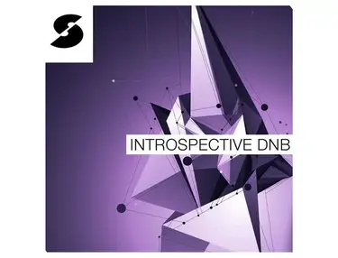 Samplephonics Introspective DnB