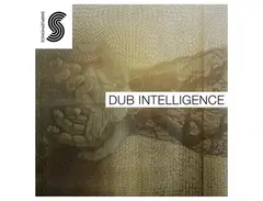 Samplephonics Dub Intelligence main image