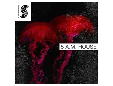 Samplephonics 5 A.M House
