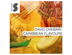 Samplephonics David Chebair: Caribbean Flavours main image