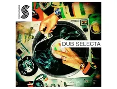 Samplephonics Dub Selecta main image
