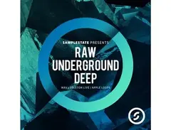 Samplestate Raw Underground Deep main image