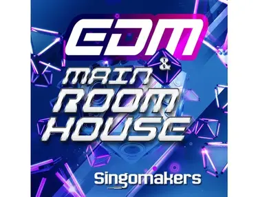Singomakers EDM & Main Room House