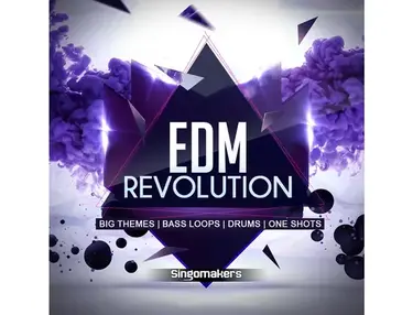 Singomakers EDM Revolution