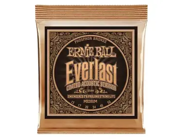 Ernie Ball Everlast Phosphor Bronze Acoustic Guitar Strings (13-56)