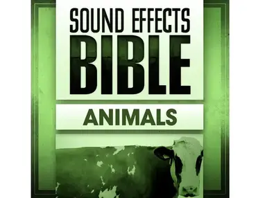 Sound Effects Bible Animals