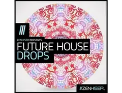 Zenhiser Future House Drops