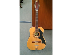Espana 12-string acoustic