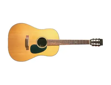 Martin D18S-12 String Acoustic Guitar