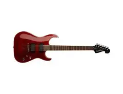 Washburn X50PROFE main image