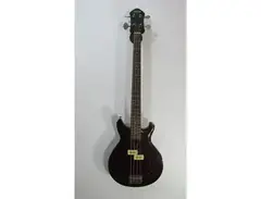 Giannini Bass Arrow main image