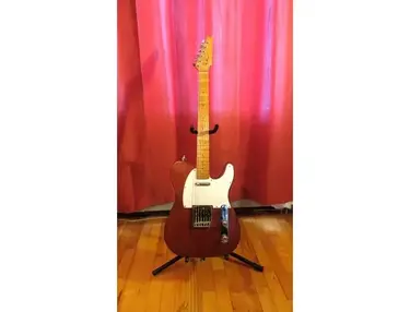 Bergy Guitars Telecaster
