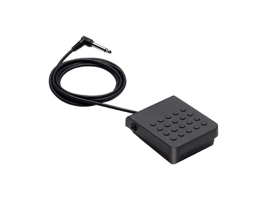 Casio SP-3 Sustain Pedal - What To Know & Where To Buy | Equipboard