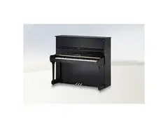 C. Bechstein Concert 8
