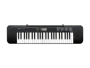 Casio CTK-245