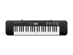 Casio CTK-245 main image