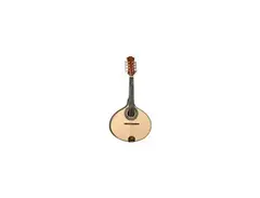 Giannini Mandolin 1979 main image