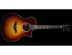 Taylor 914ce Grand Auditorium Cutaway