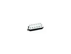 Seymour Duncan Pearly Gates Trembucker