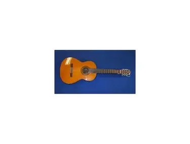 Fender FC-110