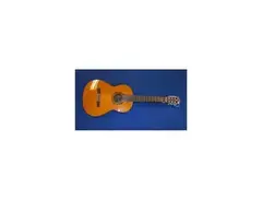 Fender FC-110