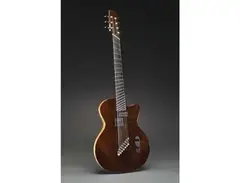 Jeff Traugott REs Solid Body 7-strings