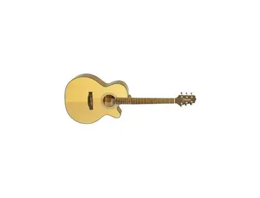 Takamine D50C