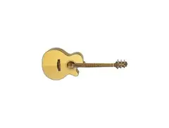 Takamine D50C main image