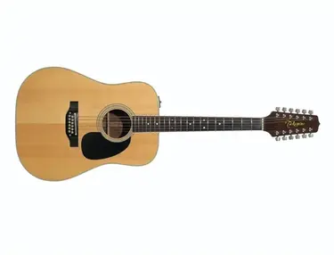 Takamine EF-400S 12-String Guitar