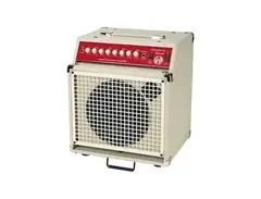 SWR Strawberry Blonde Acoustic Combo Amp