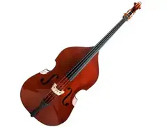 Contrabass main image