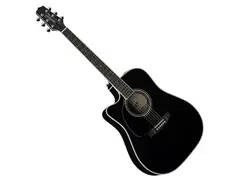 Takamine EF341SC main image