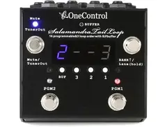 One Control Salamandra Tail Loop Effects Switching System main image
