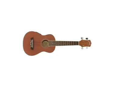 Washburn U20E