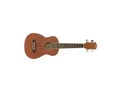 Washburn U20E main image