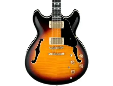 Ibanez Jsm10 John Scofield Signature Semi-Hollowbody Electric Guitar
