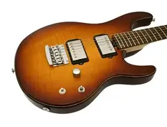 Ernie Ball Music Man 20th Anniversary Silhouette