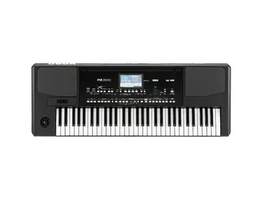 Korg PA300 61-Key Arranger
