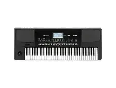 Korg PA300 61-Key Arranger