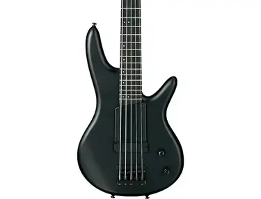 Ibanez Gary Willis Signature Five-String Electric Bass Guitar