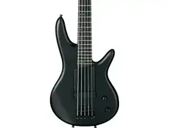 Ibanez Gary Willis Signature Five-String Electric Bass Guitar