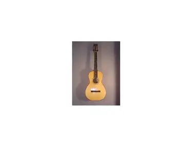 Martin Parlor Acoustic Guitar