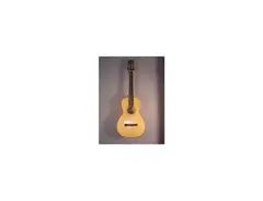 Martin Parlor Acoustic Guitar