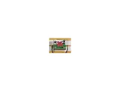 Welsh Flag Dragon Mystery Pedal main image