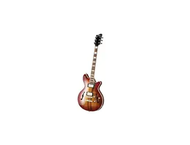 Maton BB1200 Guitar