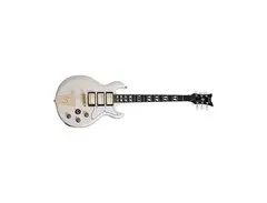Schecter S1 Custom III main image
