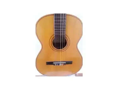 Giannini Acoustic Guitar from 60's
