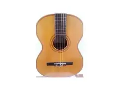 Giannini Acoustic Guitar from 60's main image