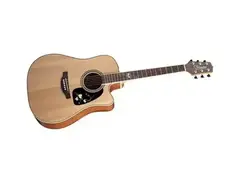 Takamine 50th Anniversary Edition G Series Acoustic-Electric Guitar main image